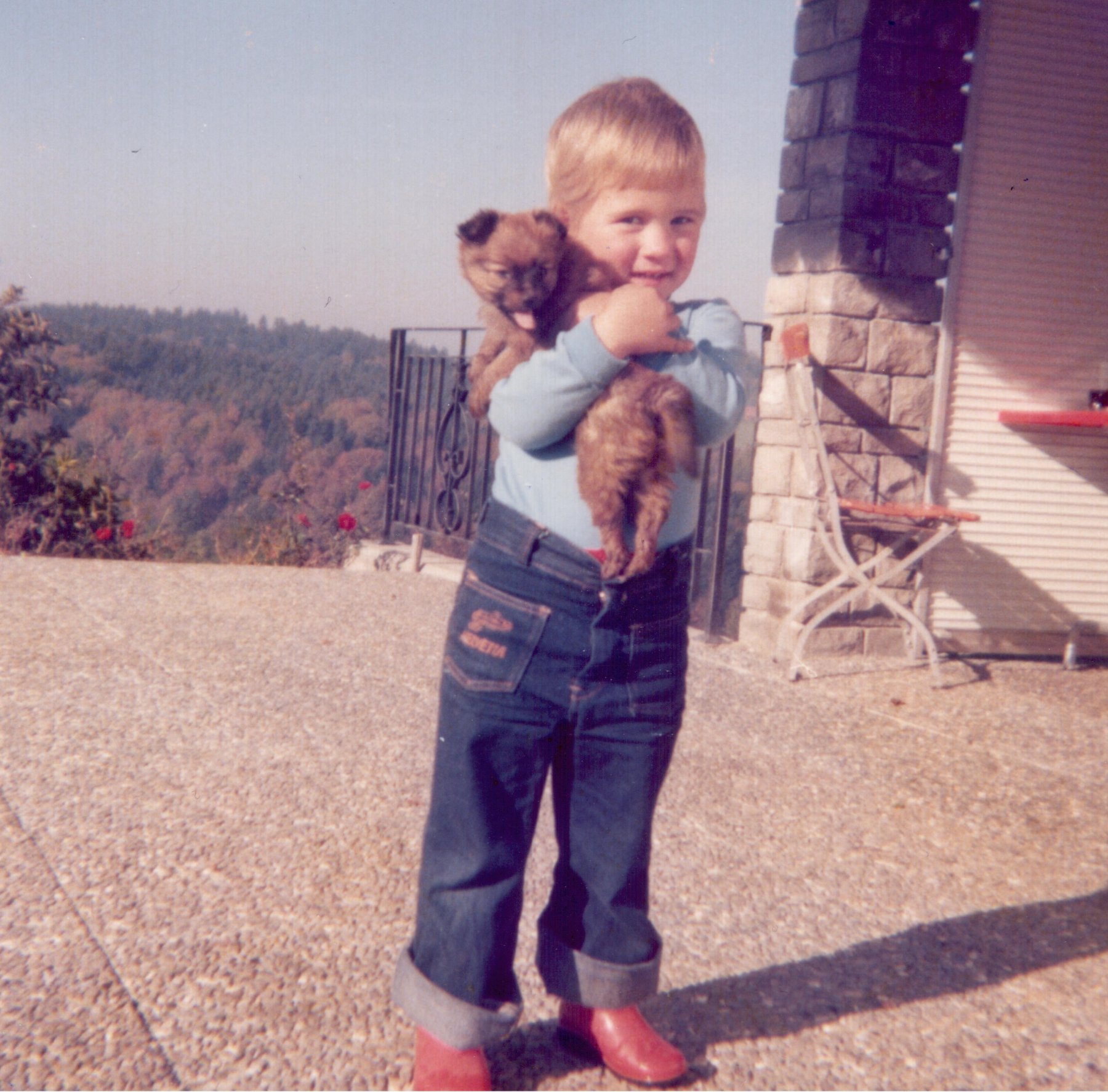 Der erste Hund